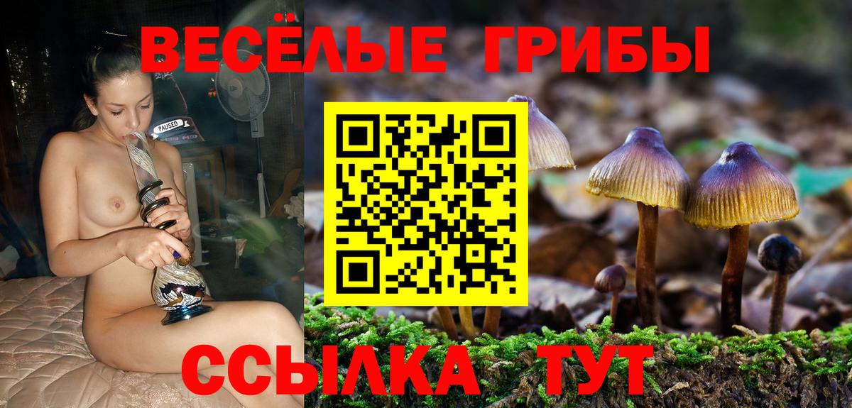 Псилоцибиновые грибы Psilocybine cubensis Норильск