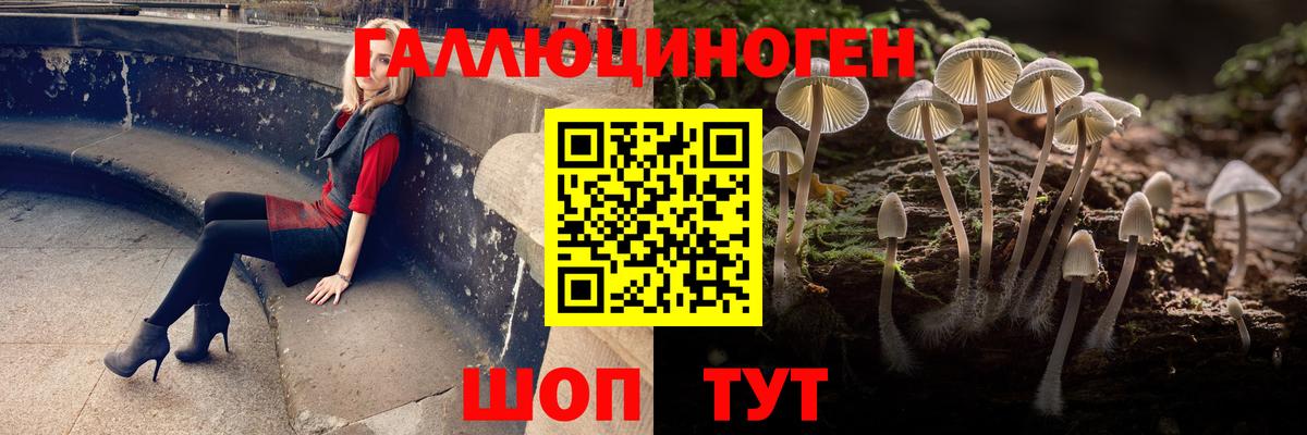 Псилоцибиновые грибы мухоморы  Вход с VPN  Псилоцибиновые грибы Psilocybine cubensis  Норильск 